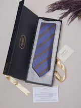 Blue Stripes Teflon Silk Necktie