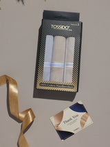 Beige & Grey Pastel Border Stripe Cotton Handkerchief Set