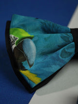 Blue Bird Bowtie & Pocket Square Set - TOSSIDO