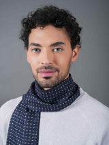 Blue Check Muffler - TOSSIDO