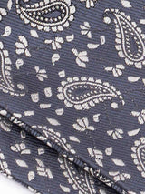 Blue Paisley Woven Ascot & Pocket Square - TOSSIDO