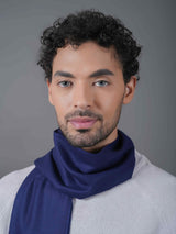 Blue Solid Muffler - TOSSIDO