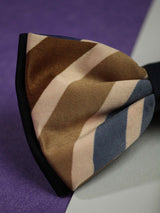 Bold Stripe Bowtie & Pocket Square Set - TOSSIDO