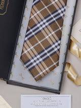 Brown Checks Teflon Silk Necktie - TOSSIDO
