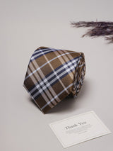 Brown Checks Teflon Silk Necktie - TOSSIDO