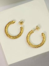 Elegant Echo - TOSSIDO