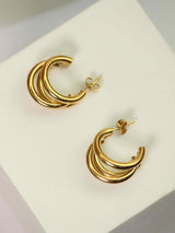 Gilded Elegance - TOSSIDO