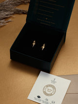 Gold Conch Shell Stud Earrings - TOSSIDO