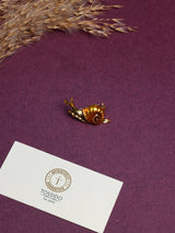 Gold Snail Amber Shell Brooch - TOSSIDO