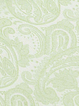 Green Paisley Woven Ascot & Pocket Square - TOSSIDO