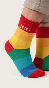 JGU Horizon Bold Stripe Socks - TOSSIDO