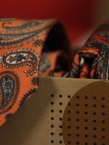 Orange Paisley Printed Necktie and Pocket Square Set - TOSSIDO