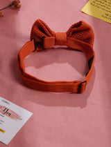 Orange Solid Knitted Bowtie - TOSSIDO