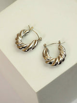 Silver Elegance - TOSSIDO