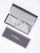 Silver Paisley Woven Ascot & Pocket Square - TOSSIDO