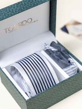 Silver Stripes Necktie Gift - set - TOSSIDO
