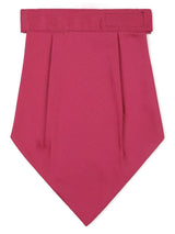 Berrylush Cravat & Pocket square - TOSSIDO