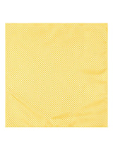 Lemon Cravat & Pocket square - TOSSIDO