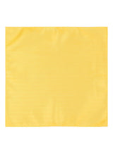 Sunshine Cravat & Pocket square - TOSSIDO