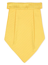 Sunshine Cravat & Pocket square - TOSSIDO