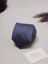 Blue Stripes Teflon Silk Necktie