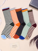Multicolour Stripe Socks – Pack of 5