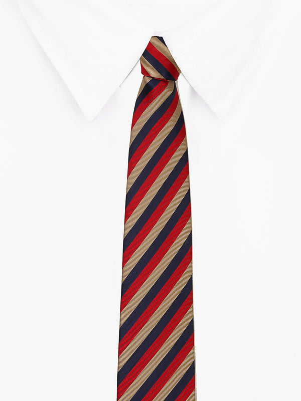 Multicolor Stripe Necktie