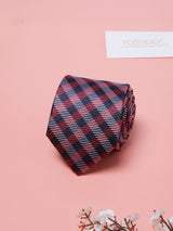 Blue & Red Checks Teflon Silk Necktie - TOSSIDO
