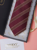 Brown & Maroon Stripes Teflon Silk Necktie - TOSSIDO