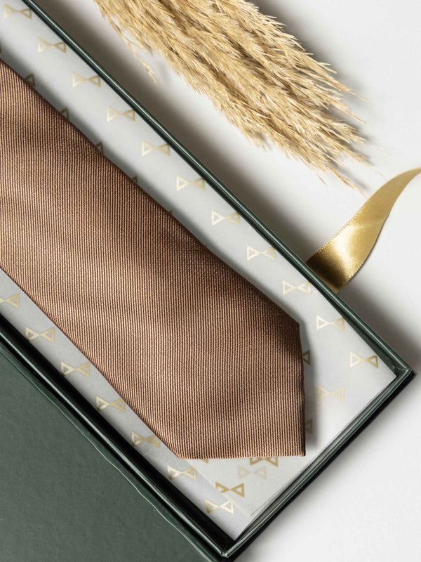 Cocoa Brown Pure Silk Necktie (Teflon Coated) - TOSSIDO
