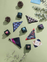 Gentleman’s Palette – Pack of 9 Pocket Squares - TOSSIDO
