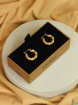 Golden Embrace - TOSSIDO