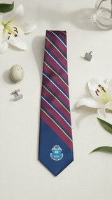 JGU Maroon & Blue Stripe Woven Necktie - TOSSIDO