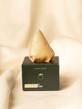 Orange Floral Jacquard Pocket Square - TOSSIDO