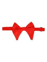 Kingly Cummerbund Set - TOSSIDO