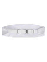Resplendent Cummerbund Set - TOSSIDO